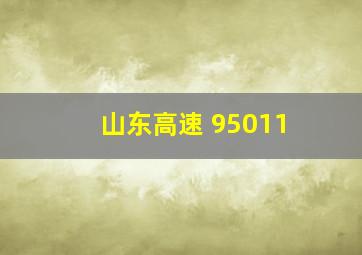 山东高速 95011